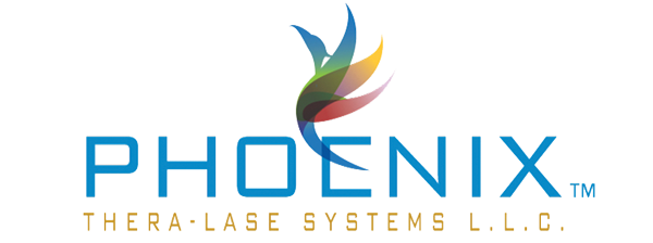 Система феникс. «phoenix systems» logo. «phoenix systems» logo 2025. приложение thera. феникс система еврокраб.